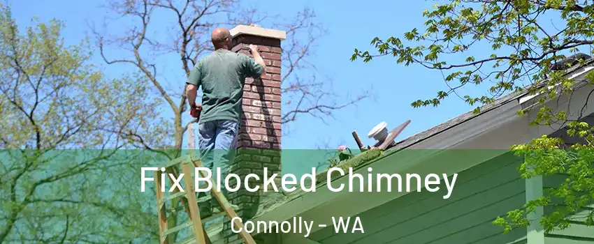 Fix Blocked Chimney Connolly - WA