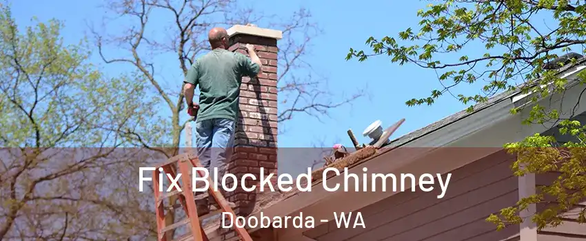 Fix Blocked Chimney Doobarda - WA