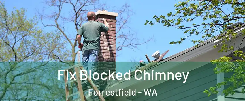 Fix Blocked Chimney Forrestfield - WA