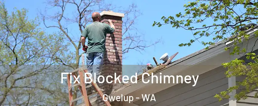 Fix Blocked Chimney Gwelup - WA