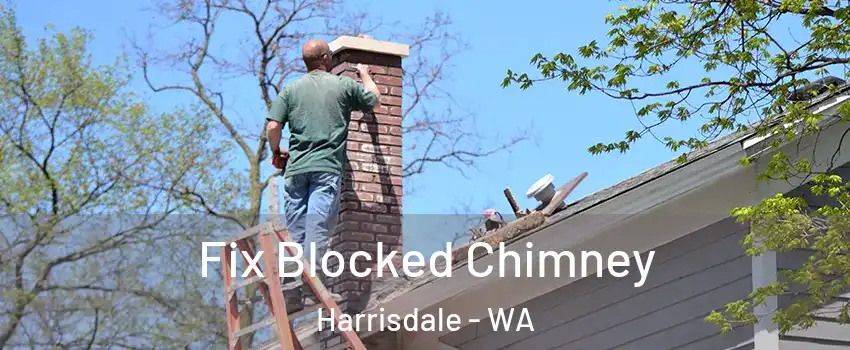 Fix Blocked Chimney Harrisdale - WA