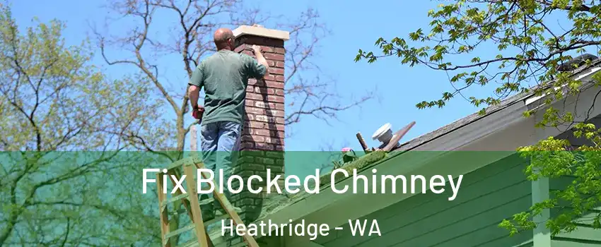 Fix Blocked Chimney Heathridge - WA