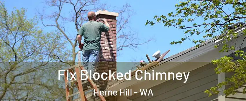 Fix Blocked Chimney Herne Hill - WA