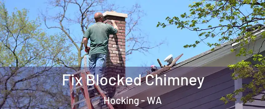 Fix Blocked Chimney Hocking - WA