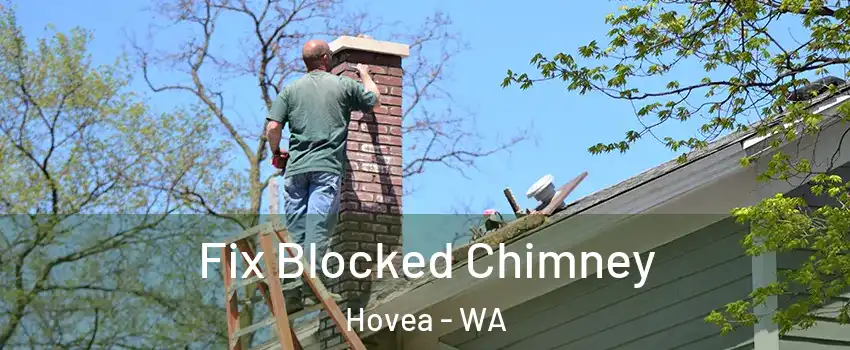 Fix Blocked Chimney Hovea - WA
