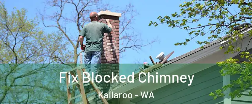  Fix Blocked Chimney Kallaroo - WA