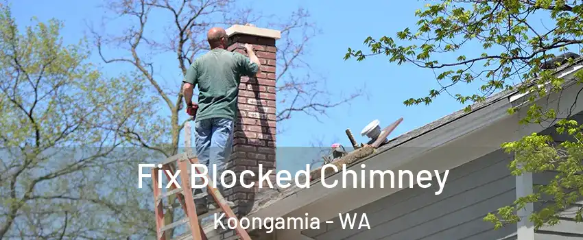 Fix Blocked Chimney Koongamia - WA