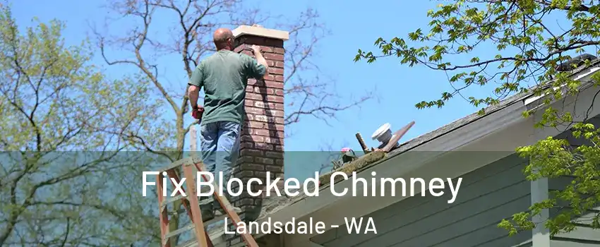 Fix Blocked Chimney Landsdale - WA