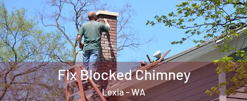 Fix Blocked Chimney Lexia - WA
