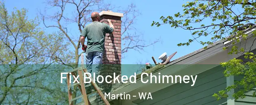 Fix Blocked Chimney Martin - WA