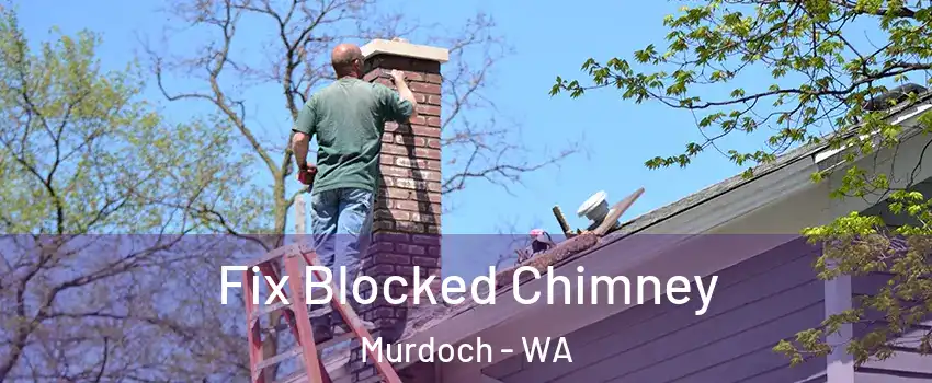 Fix Blocked Chimney Murdoch - WA