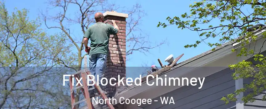 Fix Blocked Chimney North Coogee - WA
