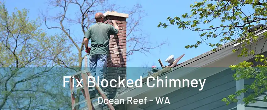 Fix Blocked Chimney Ocean Reef - WA