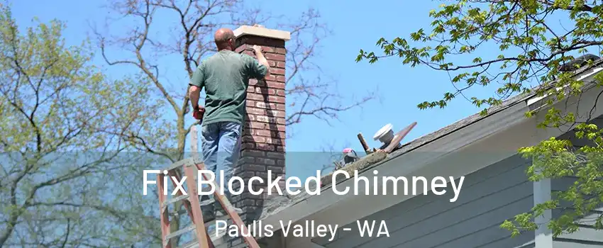  Fix Blocked Chimney Paulls Valley - WA