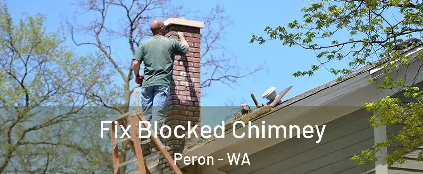 Fix Blocked Chimney Peron - WA