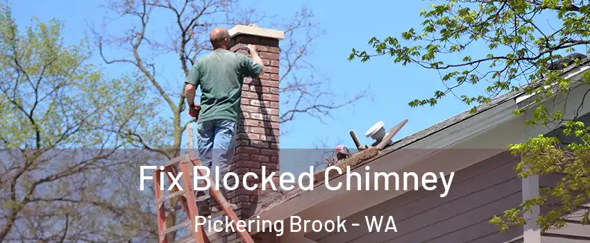 Fix Blocked Chimney Pickering Brook - WA