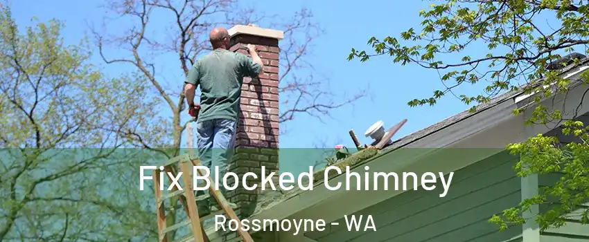 Fix Blocked Chimney Rossmoyne - WA