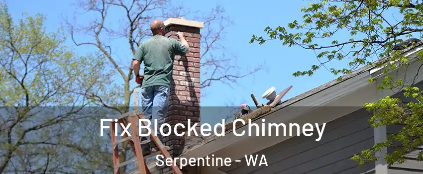 Fix Blocked Chimney Serpentine - WA