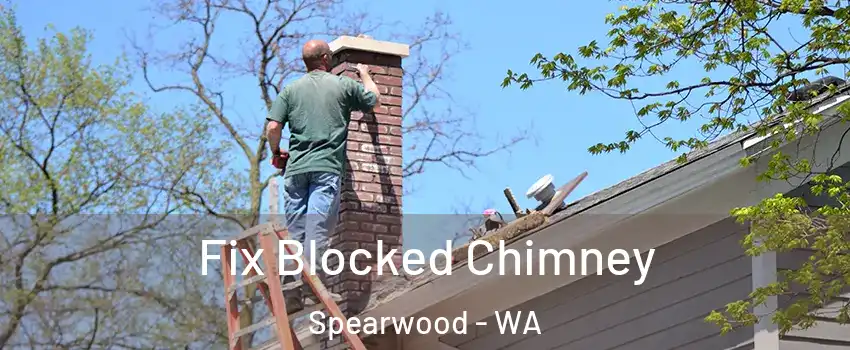 Fix Blocked Chimney Spearwood - WA