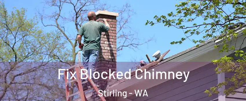 Fix Blocked Chimney Stirling - WA