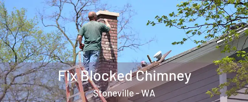 Fix Blocked Chimney Stoneville - WA