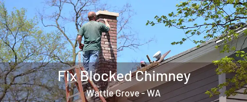 Fix Blocked Chimney Wattle Grove - WA