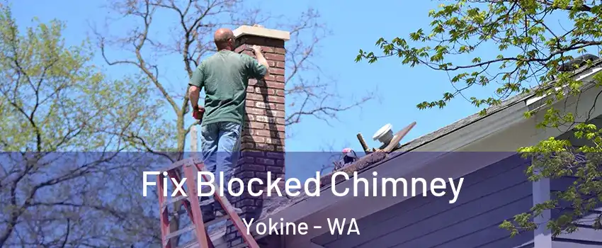 Fix Blocked Chimney Yokine - WA
