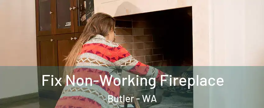 Fix Non-Working Fireplace Butler - WA
