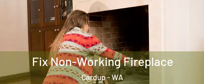 Fix Non-Working Fireplace Cardup - WA