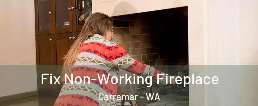 Fix Non-Working Fireplace Carramar - WA