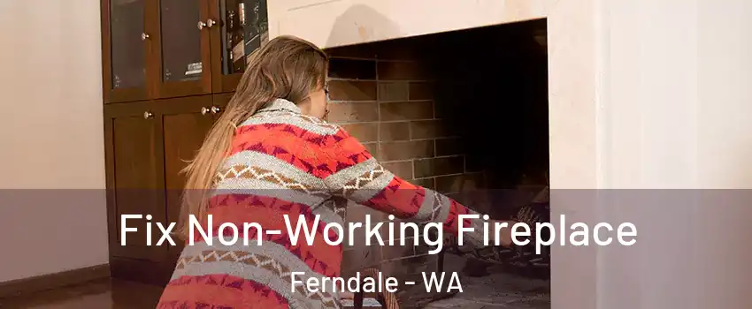 Fix Non-Working Fireplace Ferndale - WA