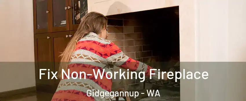 Fix Non-Working Fireplace Gidgegannup - WA