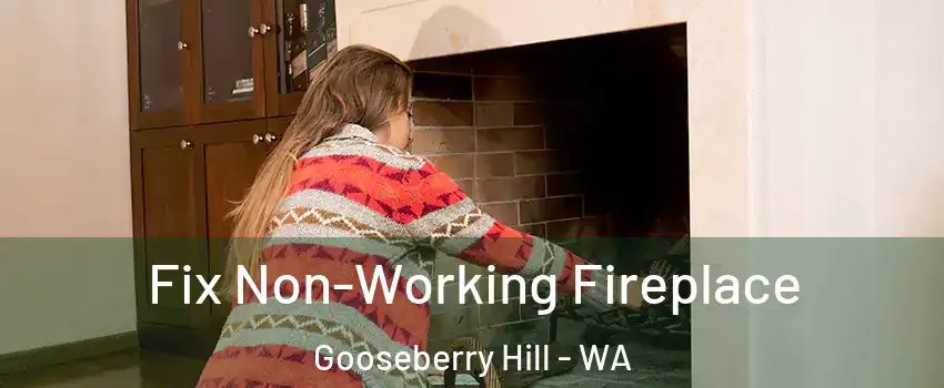 Fix Non-Working Fireplace Gooseberry Hill - WA