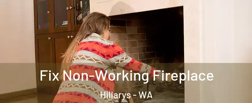 Fix Non-Working Fireplace Hillarys - WA