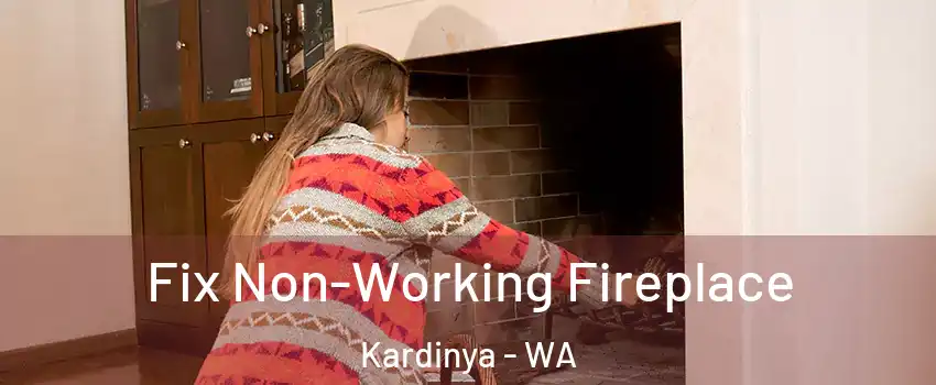 Fix Non-Working Fireplace Kardinya - WA