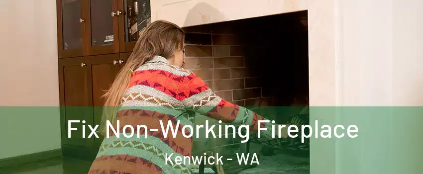 Fix Non-Working Fireplace Kenwick - WA