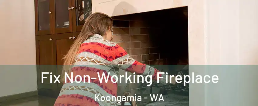 Fix Non-Working Fireplace Koongamia - WA