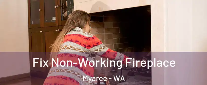 Fix Non-Working Fireplace Myaree - WA
