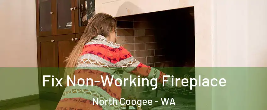 Fix Non-Working Fireplace North Coogee - WA