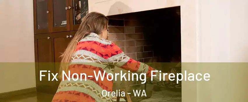 Fix Non-Working Fireplace Orelia - WA