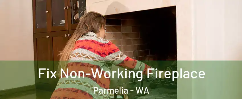 Fix Non-Working Fireplace Parmelia - WA