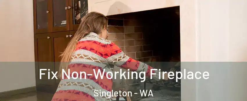 Fix Non-Working Fireplace Singleton - WA