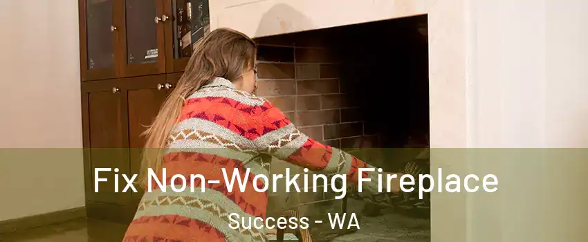 Fix Non-Working Fireplace Success - WA