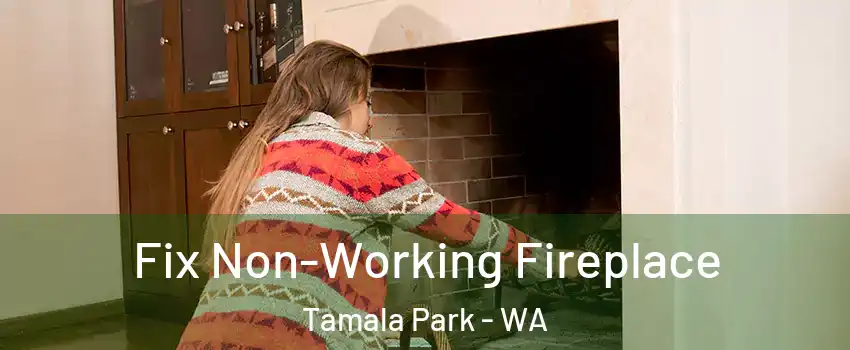 Fix Non-Working Fireplace Tamala Park - WA
