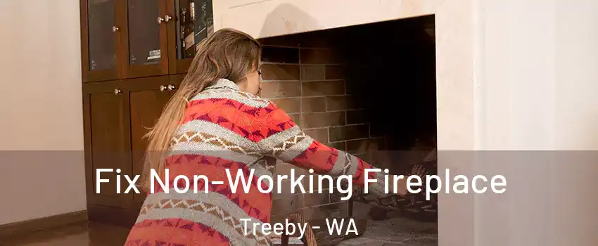 Fix Non-Working Fireplace Treeby - WA