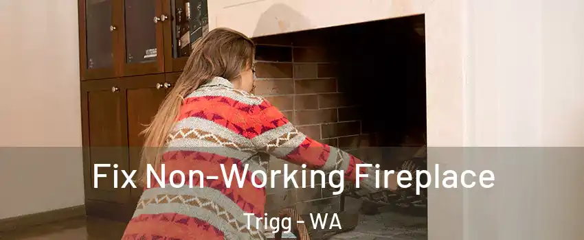 Fix Non-Working Fireplace Trigg - WA