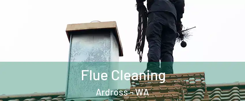 Flue Cleaning Ardross - WA