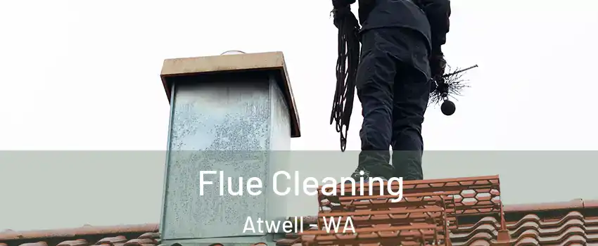 Flue Cleaning Atwell - WA