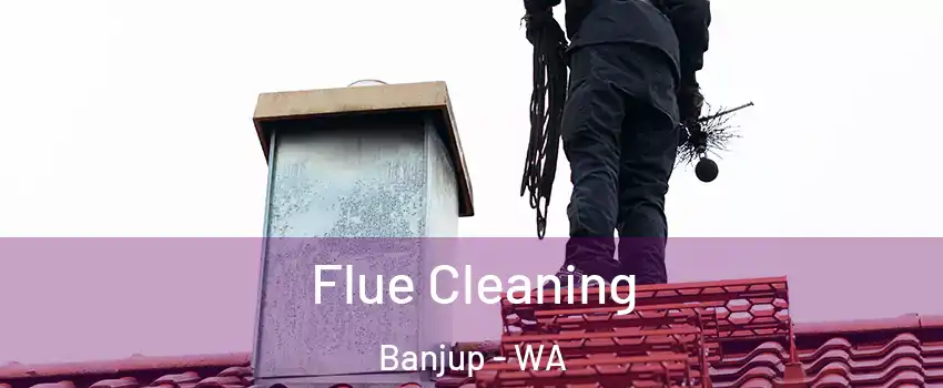 Flue Cleaning Banjup - WA