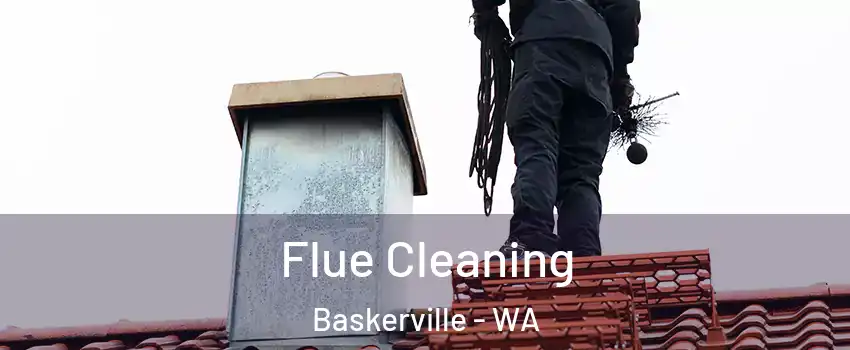 Flue Cleaning Baskerville - WA
